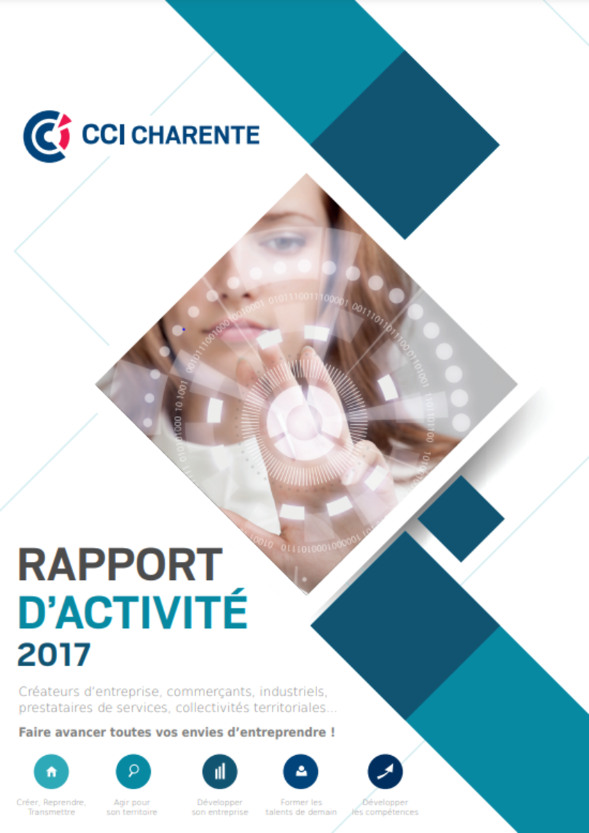 Rapport d'activité 2017