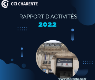 Rapport d'activités 2022 actu carré